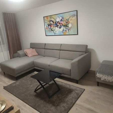 Popasu Din Oras Apartment Baia Mare Exterior photo